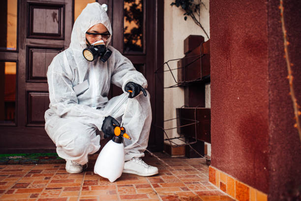 Reliable Cockroach Control contractor in Princeton, KY by Nex Pest Control